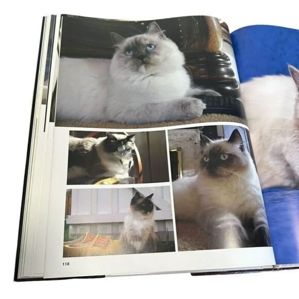 N/A interior book